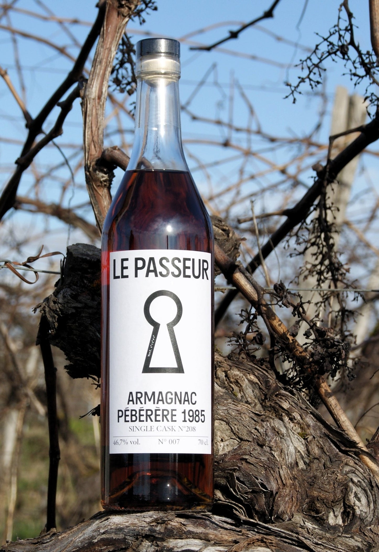 Armagnac Le Passeur - Pébérère - 1985 (40 anni) - 46.7% 70cl